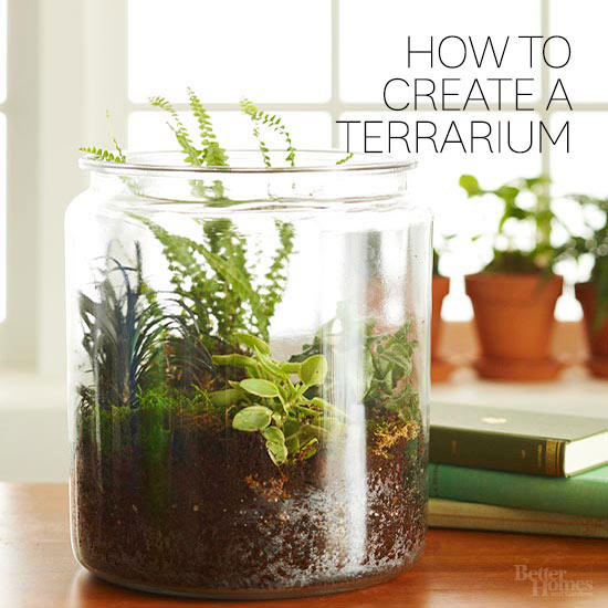 how-to-terrarium_jpg_rendition_largest